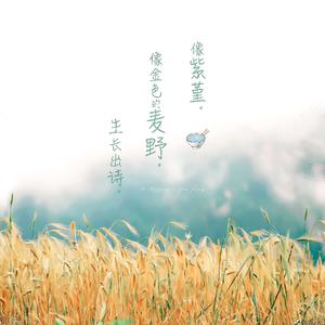 小坂七香作品封面介绍大全
