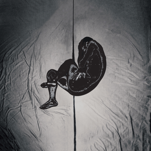 小坂七香作品封面介绍大全
