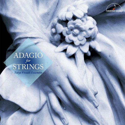 小坂七香作品封面介绍大全
